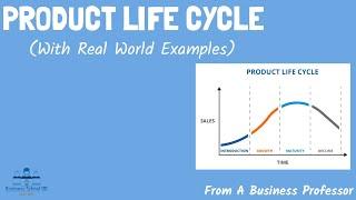 Product Life Cycle (With Real World Examples) | Strategic Management | From A Business Professor