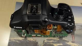 Converting Canon 1200D T5 X70 To 720nm Infrared For Jaeyong