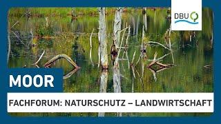 Fachforum: Moore als Superhelden im Kampf gegen die Klimakrise | Woche der Umwelt 2024