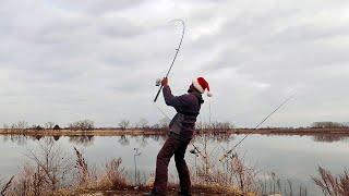 Alles, was ich mir zu Weihnachten wünsche, ist ein Wels!