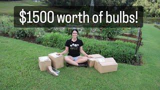 Unboxing $1500 worth of bulbs!!!