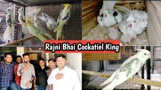 ये है All India Cockatiel Champion रजनी भाई भावनगर से || Old King Birds Group Bhavnagar || EP 3 ||