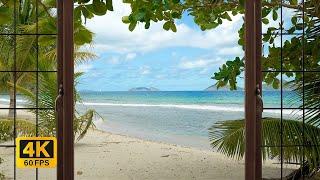 4K Tropical Beach window view in the Caribbean - Palm Trees, Ocean Sounds, Waves, White Noise