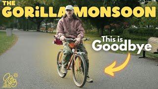 The All-City Gorilla Monsoon & My Alt-Cycling Journey | Dream Build