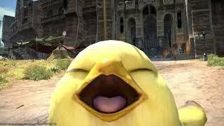 Awaken, My Chocobo