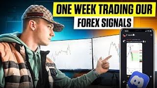 One Week Trading Our FOREX SIGNALS