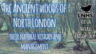 The Ancient Woods of North London - Their Natural History & Management