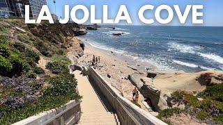 La Jolla Cove Walking Tour 4K