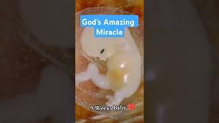 God Creating Human Life In The Womb