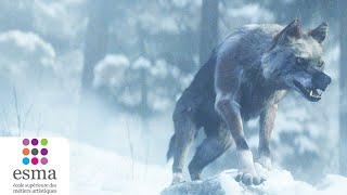 Alone a wolf's winter - ESMA 2020