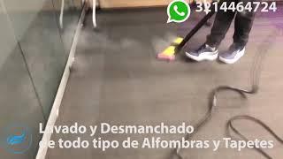 Lavado de Alfombras y Tapetes