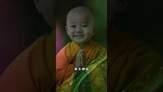 #情感共鸣 #禅悟人生 #霜降节气