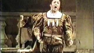 G. Verdi     RIGOLETTO   "Ella mi fu rapita!...Parmi veder le lagrime...Possente amor mi chiama"