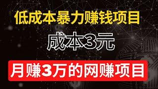 低成本暴力网赚项目：分享一个成本3元，月入3万的小众暴利赚钱项目，适合所有人的网赚项目！