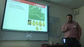 Corey Whisson - Fossil records of the Australian land snail genus Bothriembryon