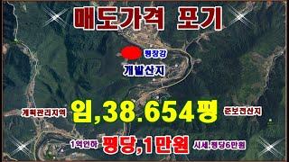 물번,687번) 완전 포기 상태.임야,38.654평 평당,1만원에 급매매합니다 4.092평  빼고 전부 계획관리지역,보전관리지역,준보전산지로 나옵니다 개발하기 최고 3억9.000만