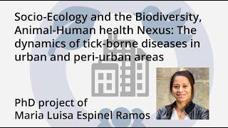 One Health PhD projects: Maria Luisa Espinel-Ramos