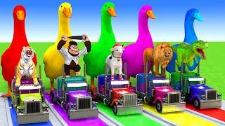 5 Giant Duck Cartoon,Cow,Elephant,Tiger,Lion,Dinosaur,Paint Wild Animals Crossing Fountain Animation