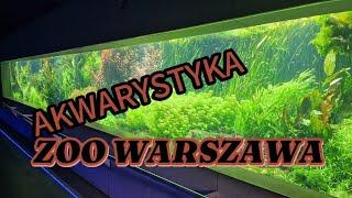 Akwarystyka zoo Warszawa - opowiada Grzegorz