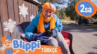 Blippi'nin Noel Macerası  Blippi Türkçe - Çocuklar için Eğitici Videolar