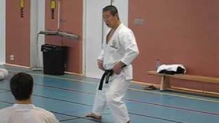 Kagawa-sensei demonstrating shifting from kokutsu-dachi to zenkutsu-dachi and back