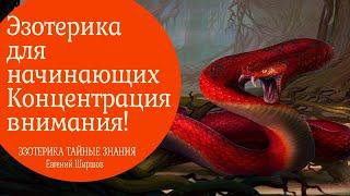 Эзотерика для начинащих.  Концентрия внимания. 2 видео.