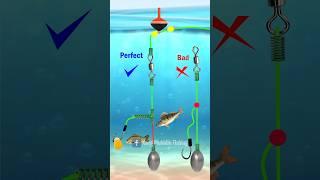 The Secret Of Fisherman Fishing Knot Skills DIY Fishing RIG 2 Hooks FREE TWIST #fishing #tutorial