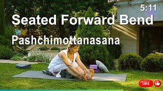 Paschimottanasana Benefits: Boost Flexibility, Relieve Stress, and Strengthen Your Body