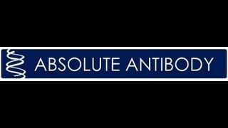 Absolute Antibody