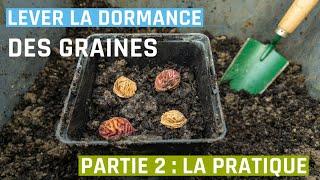 Comment lever la dormance des graines ? (partie 2 la pratique)