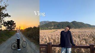 Vlog. 충동적인 반차 이렇게 좋은건가요ㅋㅋ 갈대 러버의 갈대 사랑