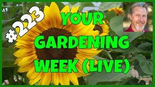 Fall Gardening Tasks (Q&A)