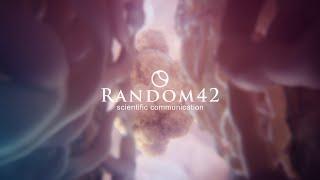 Random42 Medical Animation Showreel 2019