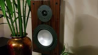 Bookshelf Speakers Demo RBH SV61