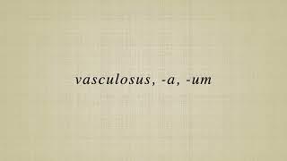 vasculosus,  a,  um