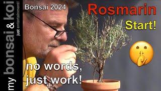 Bonsai 2024-53 - no words, just work - PSSST! Rosmarin - Start!