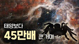 태양보다 45만배 큰 거미, 타란툴라 성운의 놀라운 정체? (feat. 제임스웹 우주망원경)