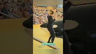The Most Incredible Trained Orca Performance Ever! #shrots