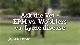 Ask the Vet - EPM vs Wobblers vs Lyme disease