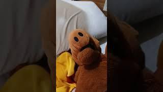 Parents when you sleep in on the weekend