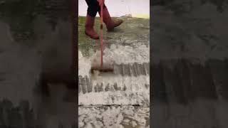 #shorts #carpet #cleaning #satisfying #calmingvideo #asmr#asmrvideos #woolrugcleaning #asmrtriggers
