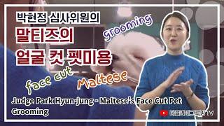 Director Park Hyun-jung - Maltese's Face Cut Seminar on Dog Beauty / Grooming