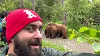 Katmai bear & cubs encounter (708 Amelia), Bear Selfie!!