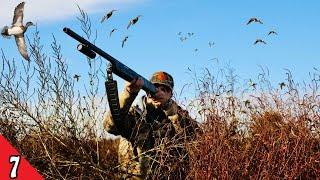 SOLO Afternoon DUCK HUNT! (LIMITED OUT) | NORTH WINDS Brings The Birds