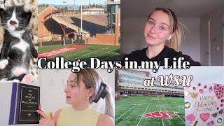 College Days in my Life | small thrift haul, baking, kitten update