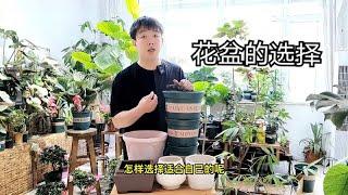 新手养花的花盆选择，各种花盆优缺点