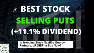 Best Stock (Selling Puts) 11% Dividend