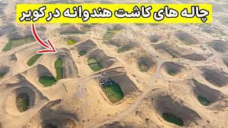 Watermelon In desert - کشاورزی با روشی عجیب در کویر