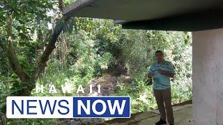 Landowner apologizes following cleanup controversy in Kalihi Valley