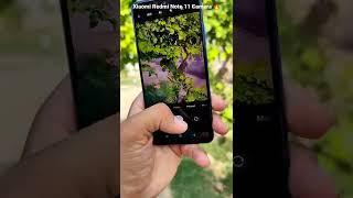 Xiaomi Redmi Note 11 Camera #shorts #shortvideo #youtubeshorts #viral